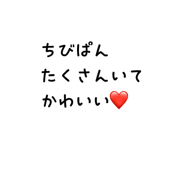 ちびぱんたくさんいてかわいい❤️