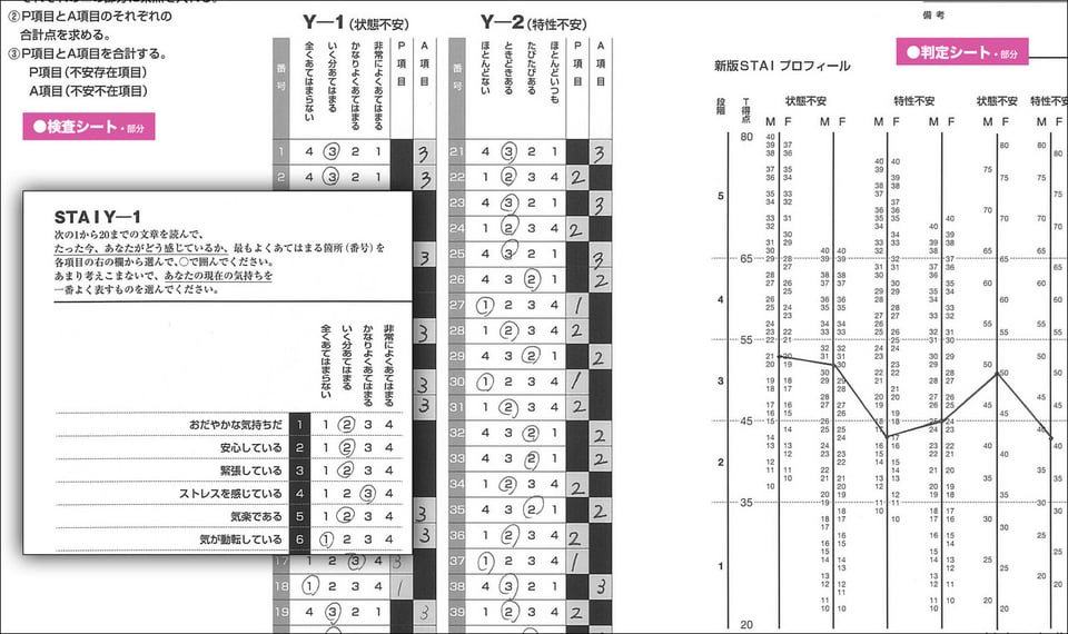 新版 STAI（エス・ティ・エイ・アイ）| ウェルネス事業